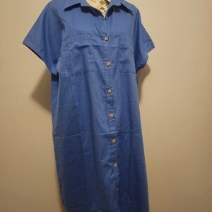 Amazon Blue Button-Down Dress